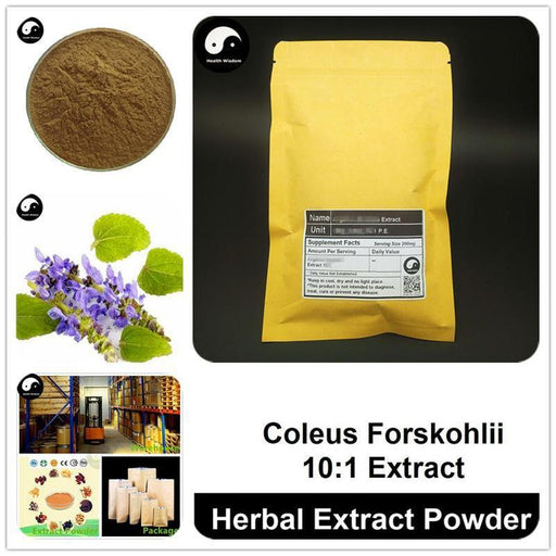 Coleus Forskohlii Extract Powder, Coleus P.E. 10:1, Forskolin-Health Wisdom™
