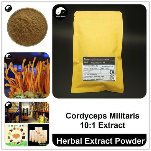 Cordyceps Militaris Extract Powder, Mushroom Cordyceps P.E. 10:1, Chong Cao Hua-Health Wisdom™
