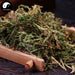 Cui Yun Cao 翠雲草, Uncinata Spikemoss Herb, Herba Selaginellae Uncinatae, Di Bai Ye-Health Wisdom™