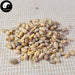 Da Dou Huang Juan 大豆黃卷, Semen Sojae Germinatum, Soybean Germinated-Health Wisdom™