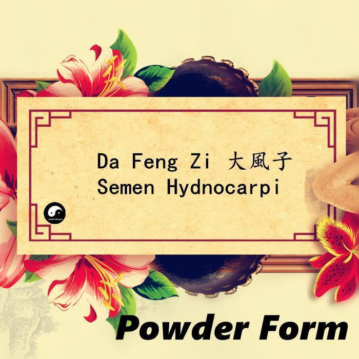 Da Feng Zi 大風子, Ma Feng Zi, Chaulmoogratree Seed, Pure Semen Hydnocarpi Powder-Health Wisdom™