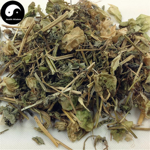 Deng Long Cao 燈籠草, Peruvian Groundcherry Herb, Herba Physalis Peruvianae