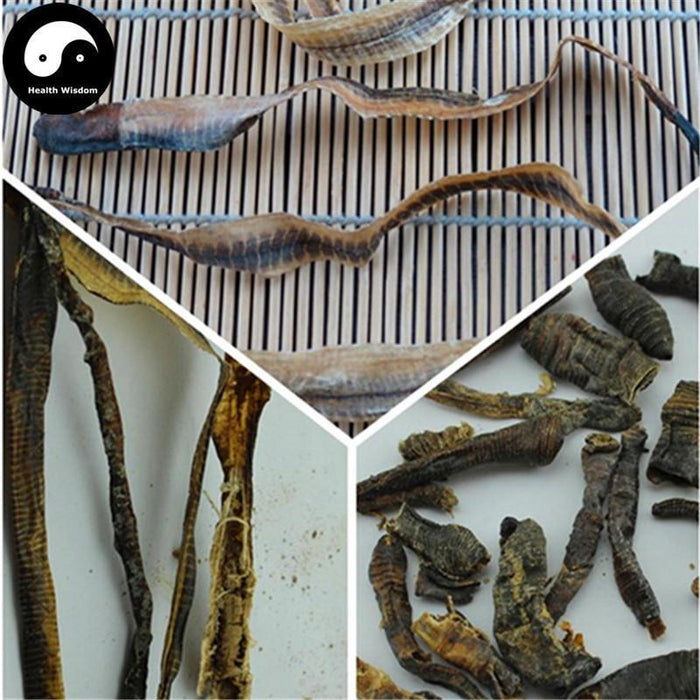 Di Long 地龙, Qiu Yin, Dried Lumbricus, PHERETIMA, Earthworm-Health Wisdom™
