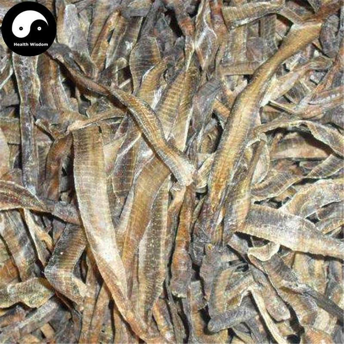 Di Long 地龙, Qiu Yin, Dried Lumbricus, PHERETIMA, Earthworm-Health Wisdom™