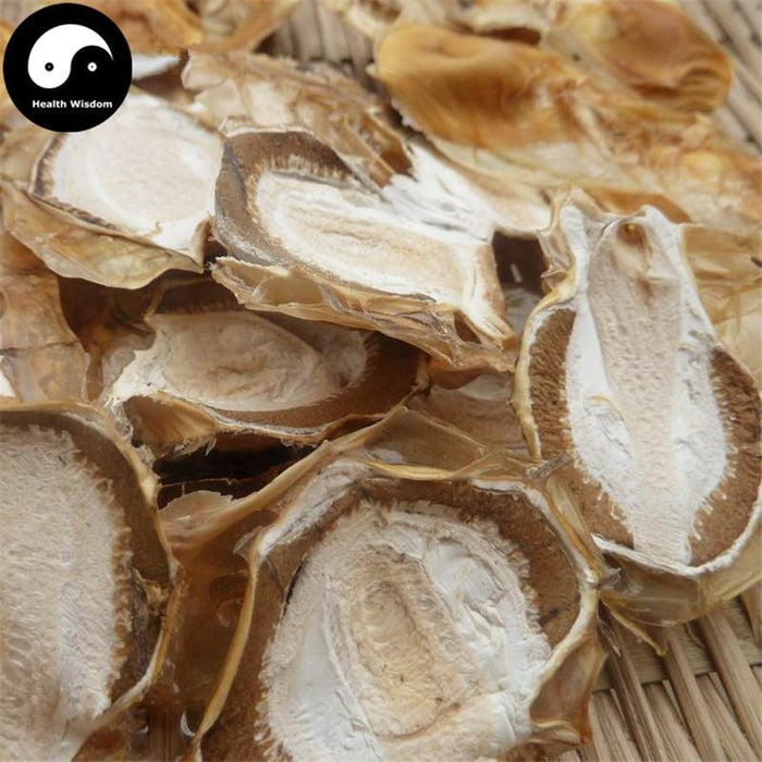 Dictyophora Eggs, Phallus Indusiatus, Stinkhorn Fungus, Bamboo Fungus, Zhu Sun Dan 竹荪蛋-Health Wisdom™