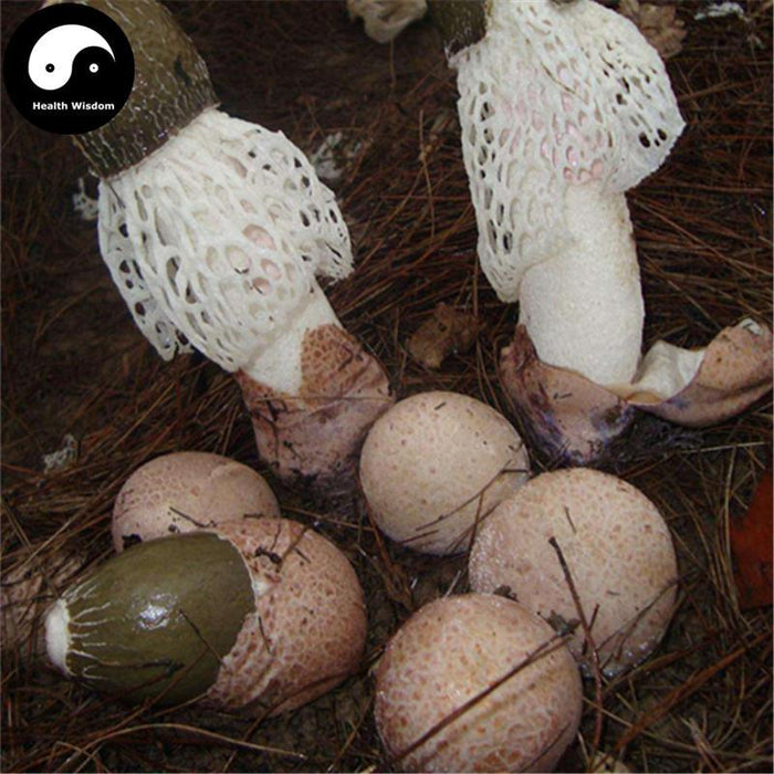 Dictyophora Eggs, Phallus Indusiatus, Stinkhorn Fungus, Bamboo Fungus, Zhu Sun Dan 竹荪蛋-Health Wisdom™