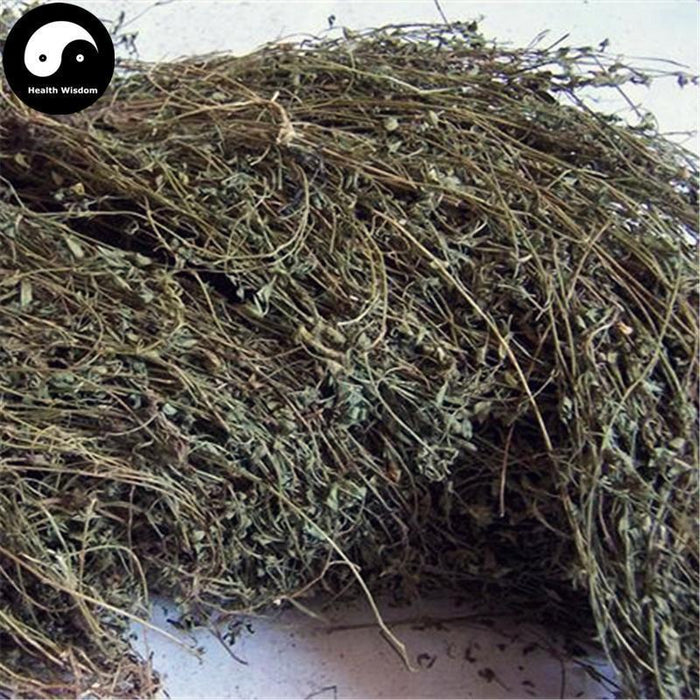 Ding Gui Cao 丁葵草, Twinleaf Zornia Herb, Herba Zorniae Diphyllae-Health Wisdom™