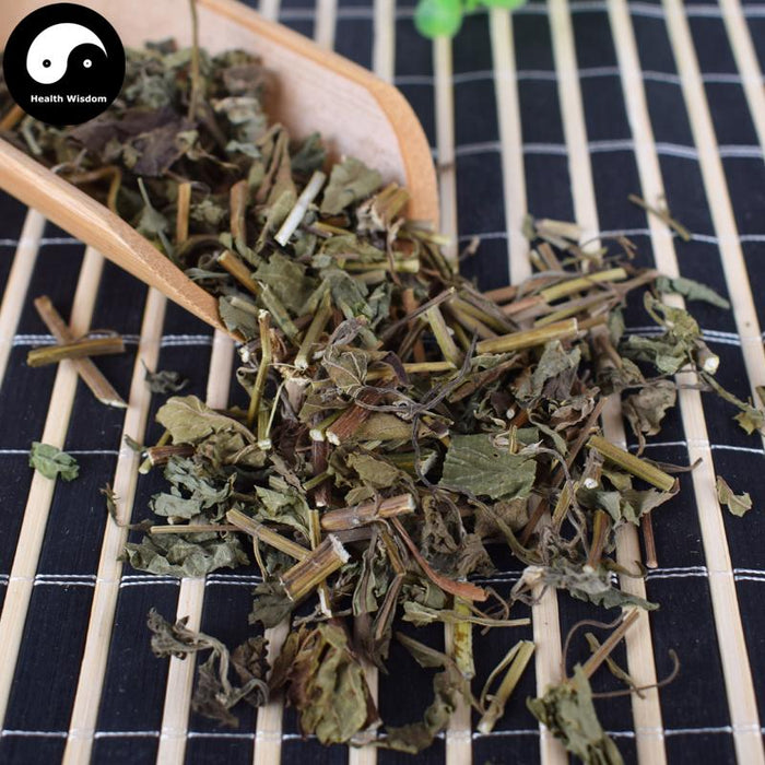 Dong Ling Cao 冬淩草, Herba Powder Rabdosiae, Rabdosia Rubescens Herb, Isodon rubescens-Health Wisdom™