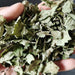 Dong Ling Cao 冬淩草, Herba Tea Rabdosiae Leaf, Rabdosia Rubescens Herb, Isodon rubescens-Health Wisdom™