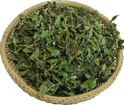Dong Ling Cao 冬淩草, Herba Tea Rabdosiae Leaf, Rabdosia Rubescens Herb, Isodon rubescens