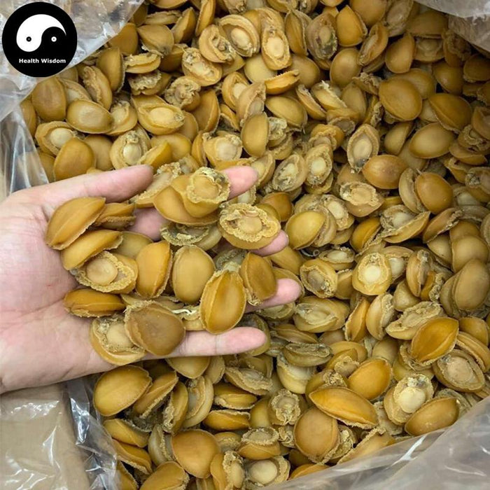 Dried Abalone, Seafood 鲍鱼 Bao Yu-Health Wisdom™