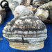 Dried Fomitopsis Officinalis, Mushroom Ku Bai Ti 苦白蹄