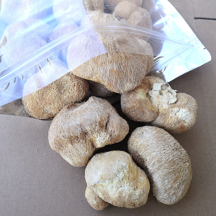 Dried Hericium Erinaceus, Lion's Mane Mushroom, Yamabushitake, Hou Tou Gu 猴头菇