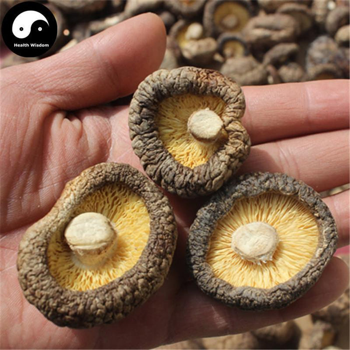 Dried Lentinan Mushroom, Chinese Shiitake Mushroom, Xiang Gu 香菇-Health Wisdom™