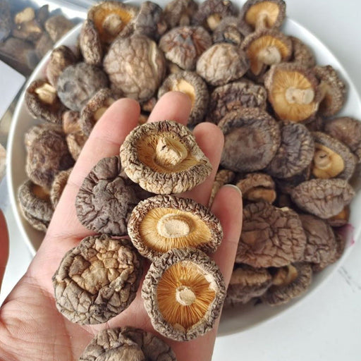 Dried Lentinan Mushroom, Chinese Shiitake Mushroom, Xiang Gu 香菇
