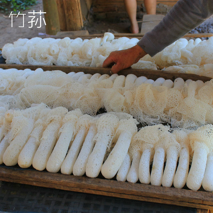 Dried Phallus Indusiatus, Stinkhorn Mushroom, Bamboo Fungus, 竹荪 Zhu Sun-Health Wisdom™