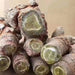 Dried Radix Notoginseng, Pseudoginseng Root Slices, Tian Qi, San Qi 田七根-Health Wisdom™