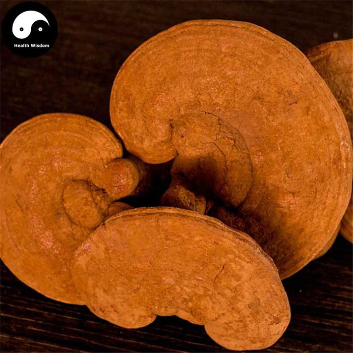Dried Reishi Mushroom, Chinese Ganoderma Lucidum Tea, Ling Zhi 灵芝-Health Wisdom™