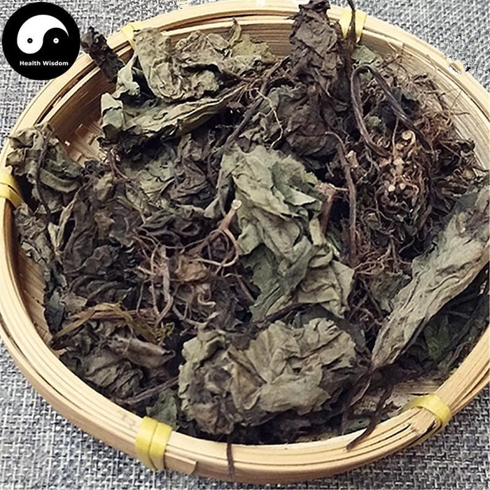 Du Heng 杜衡, Herba Asari Forbesii, Forbes Wildginger Herb, Tu Xi Xin, Du Kui-Health Wisdom™