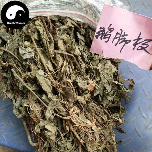 E Jiao Ban 鵝腳板, Diversifolious Pimpinella Herb, Yi Ye Hui Qin-Health Wisdom™