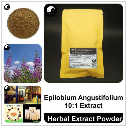 Epilobium Angustifolium Extract Powder, Angustifolium P.E. 10:1, Liu Lan-Health Wisdom™