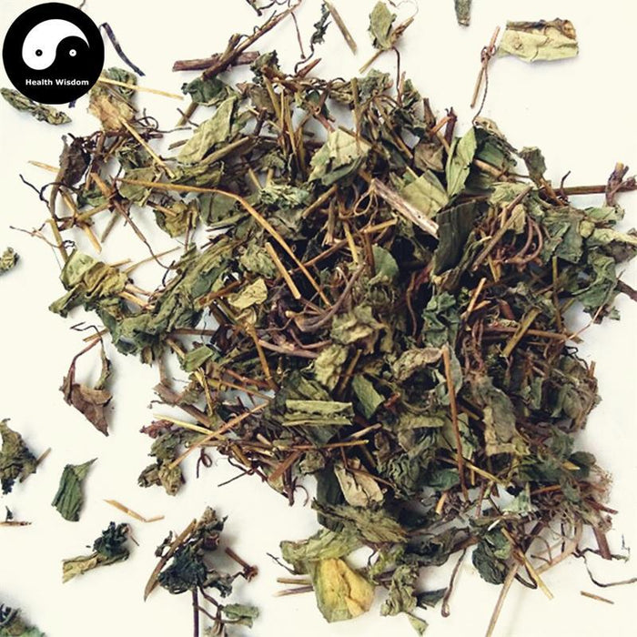 Fei Xing Cao 肺型草, Herba Tripterospermi Chinensis, Common Tripterospermum Herb-Health Wisdom™