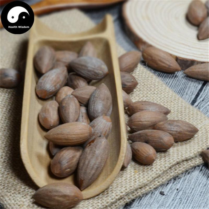 Fei Zi 榧子, Semen Torreyae, Grand Torreya Seed, Nut Xiang Fei 香榧-Health Wisdom™