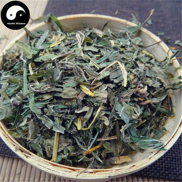 Feng Wei Cao 鳳尾草, Herba Pteridis Multifidae, Chinese Brake Herb