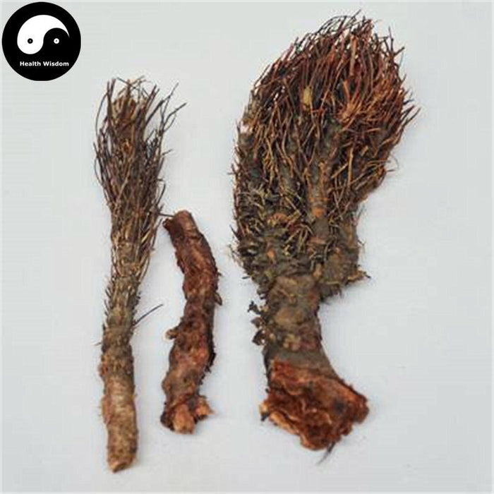 Feng Wei Qi 凤尾七, Herba Rhodiola Dumulosa, Hong Jing Tian-Health Wisdom™