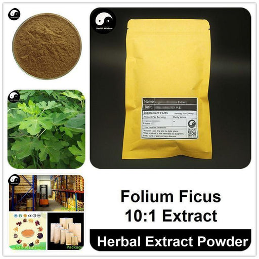 Folium Ficus Extract Powder, Ficus Carica Leaf P.E. 10:1, Wu Hua Guo Ye-Health Wisdom™