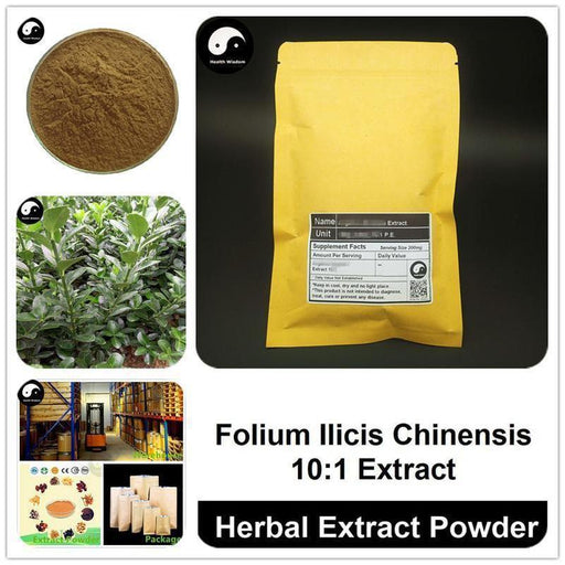 Folium Ilicis Chinensis Extract Powder, Purpleflower Holly Leaf P.E. 10:1, Si Ji Qing