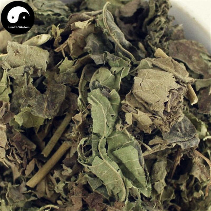 Fu Rong Ye 芙蓉葉, Cottonrose Hibiscus Leaf, Folium Hibisci Mutabilis-Health Wisdom™