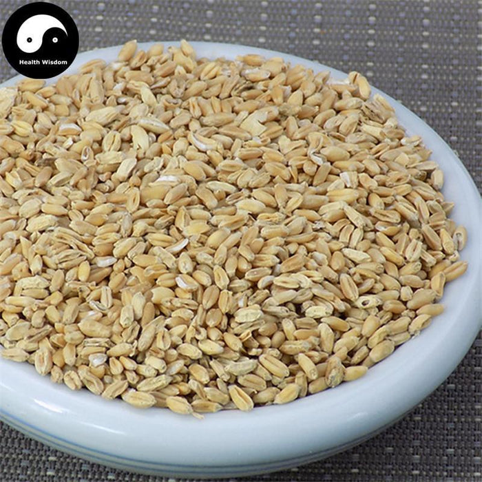 Fu Xiao Mai 浮小麥, Fructus Tritici levis, Blighted Wheat-Health Wisdom™