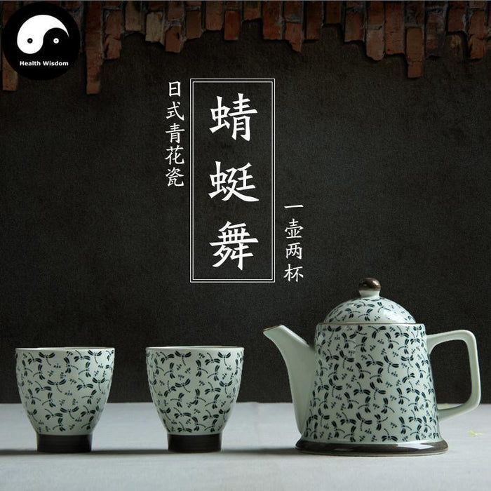 Full Kungfu Teapot Set With Mental Infuser+2 Cups-Health Wisdom™