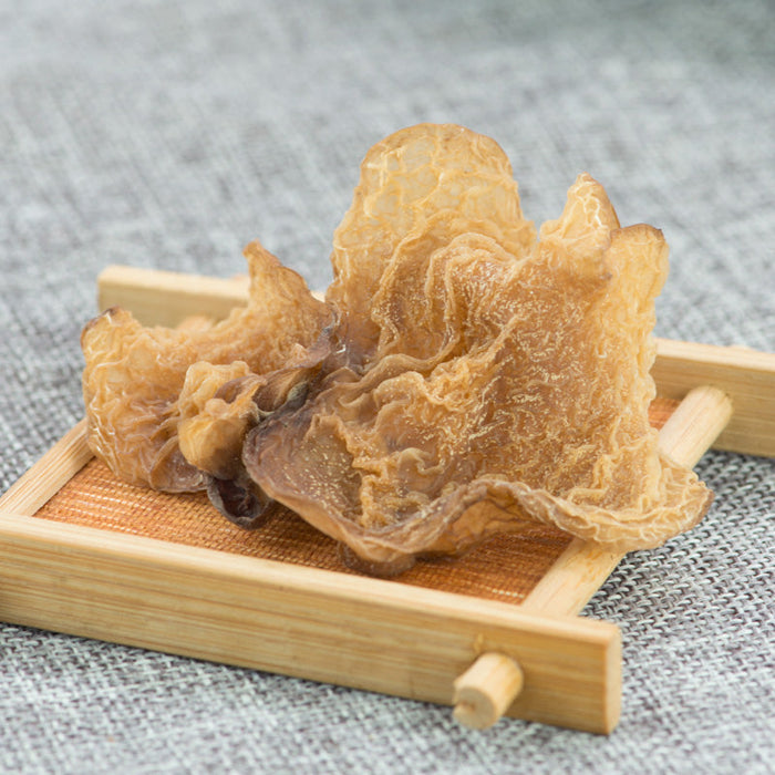 Fungi Yang Du Er 羊肚耳, Zhen Zhu Jun 珍珠菌 Bai Jun 白菌 White Mushroom For Soup Food-Health Wisdom™