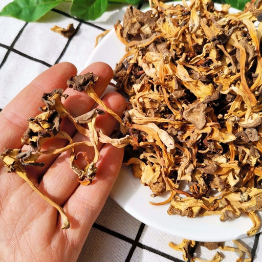 Fungus Gui Hua Er 桂花耳, Dried Festuca Glauca Mushroom Gui Hua Jun 桂花菌 For Food Soup-Health Wisdom™