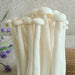 Fungus Hai Xian Gu 海鲜菇, Dried Hypsizygus Marmoreus Mushroom For Food Soup-Health Wisdom™