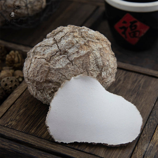 Fungus Hu Nai Jun 虎奶菌, Dried Pleurotus Tuber Regium Mushroom, Hu Nai Gu 虎奶菇-Health Wisdom™