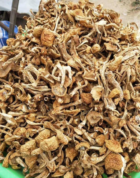 Fungus Hua Zi 滑子菇, Dried Pholiota Nameko Mushroom For Food Soup-Health Wisdom™