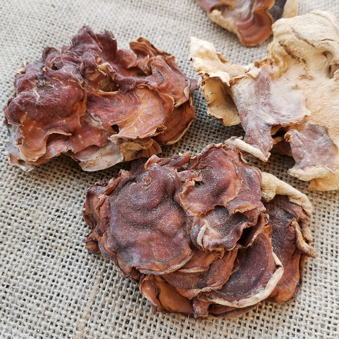 Fungus Yu Er Jun 榆耳菌, Dried Gloeostereum Incarnatum Mushroom For Food Soup-Health Wisdom™