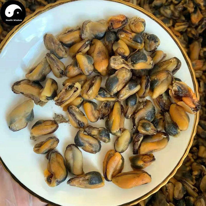 Gan Dan Cai 干淡菜, Dried Mussels Meat, Mytilus edulis Yi Bei For Seafood Soup