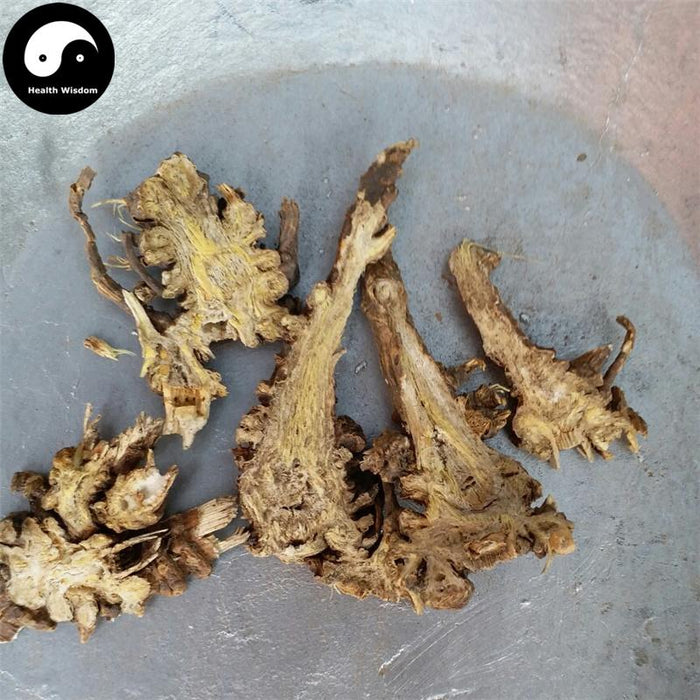 Gao Ben 藁本, Radices Ligustici Sinensis, Rhizoma Ligustici, Chinese Ligusticum Rhizome