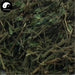 Gou Gan Cai 狗肝菜, Chinese Dicliptera Herb, Herba Diclipterae Chinensis, Lu Bian Qing-Health Wisdom™