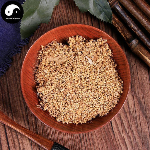 Gu Ya 生谷芽, FRUCTUS SETARIAE GERMINATUS, Rice-grain Sprout, Millet Sprout-Health Wisdom™