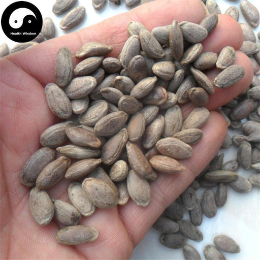 Gua Lou Zi 瓜蒌子, Gua Lou Ren, Snakegourd Seed, Semen Trichosanthis-Health Wisdom™
