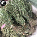 Gua Zi Jin 瓜子金, Herba Polygalae Japonicae, Japanese Milkwort Herb-Health Wisdom™