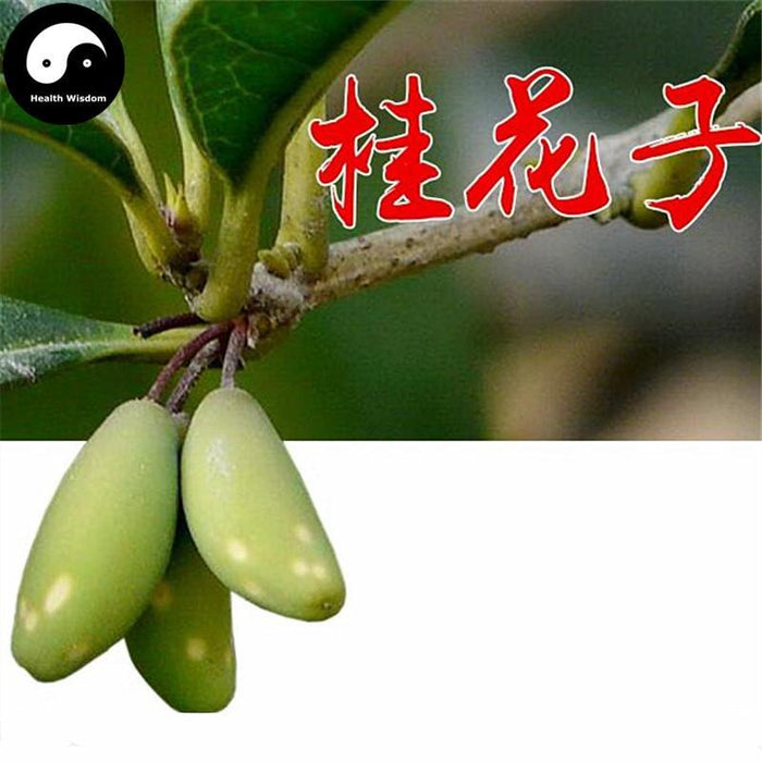 Gui Hua Zi 桂花子, Cassia Bud, Osmanthus Fragrans