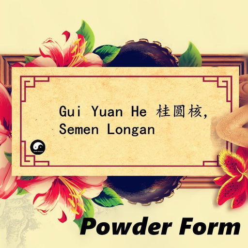 Gui Yuan He 桂圆核, Pure Semen Longan Powder, Longan seed, Long Yan He-Health Wisdom™