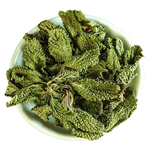 Ha Ma Cao 蛤蟆草, Herba Tea Bothriospermum Chinense, Xue Jian Cao, Li Zhi Cao 荔枝草-Health Wisdom™