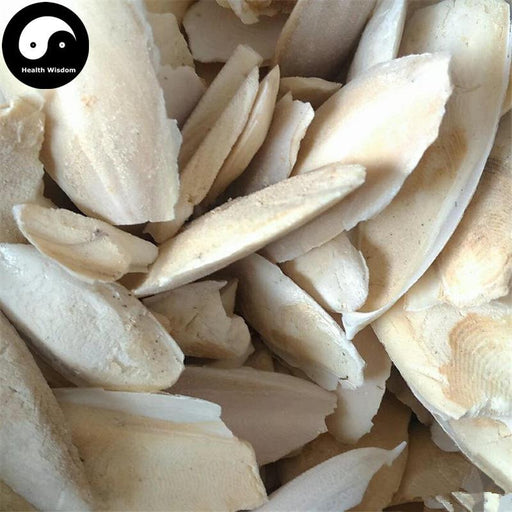 Hai Piao Xiao 海螵蛸, Cuttlebone, Cuttlefish Bone-Health Wisdom™